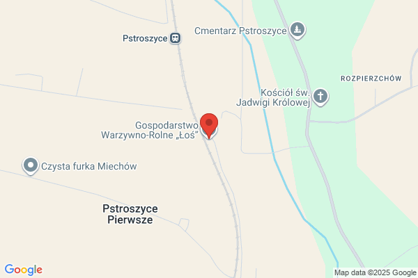 Losiewicz Bogumila i Jerzy. Gospodarstwo rolne