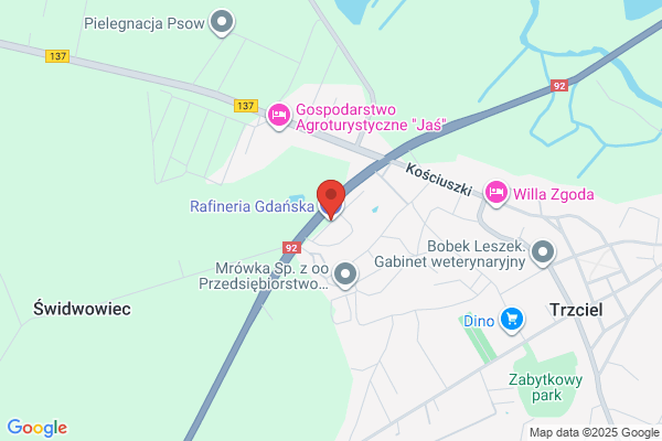 Polski Koncern Naftowy Orlen SA. Stacja paliw