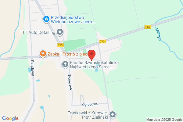 Swiderek Wojciech. Naprawa sprzetu RTV