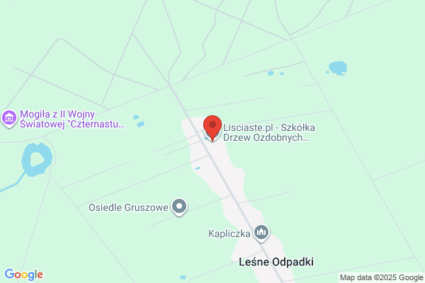 Szczesiak Krzysztof. Szkólka krzewów i drzew lisciastych