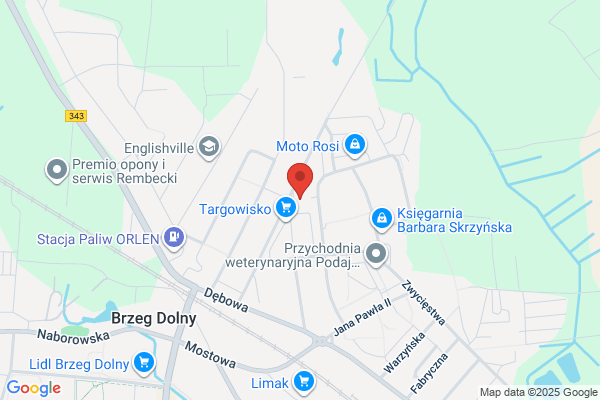 Gabel Mieczyslaw. Czyszczenie dywanów, wykladzin i tapicerki samochodowej