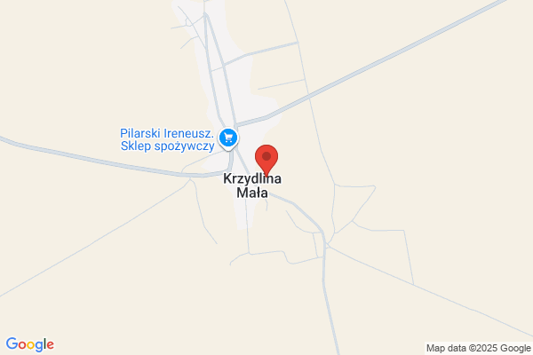 Powiatowa Wielofunkcyjna Placówka Opiekunczo - Wychowawcza