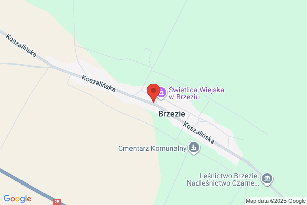 Biblioteka Publiczna Gminna. Filia