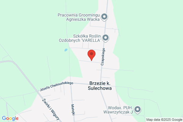Delta. Zespól muzyczny