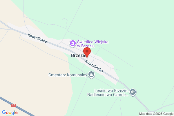 Parafia rzymskokatolicka sw. Stanislawa Biskupa Meczennika
