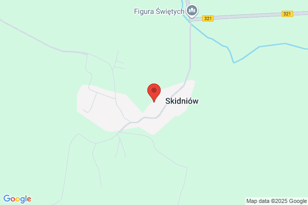 Skrzypek Wladyslaw. Zaklad murarsko - tynkarski