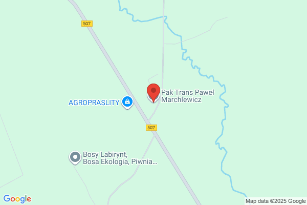 Marchlewicz Malgorzata. Uslugi transportowe