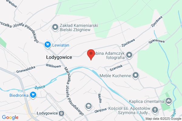 Adamczyk Ryszard. Wideofilmowanie