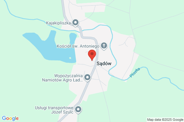 Maslowski Wieslaw. Uslugi transportowe