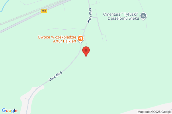 MPJ. Przedsiebiorstwo transportowo - uslugowe. Szlagor Z.
