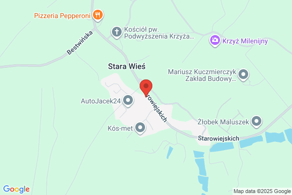 Nycz Wladyslaw. Naprawa RTV