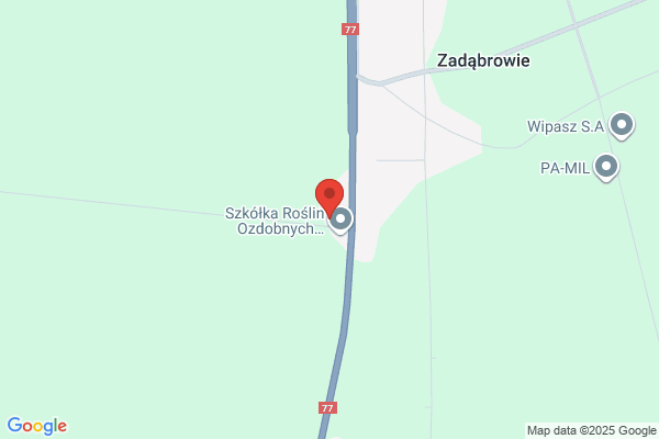 Zembrzycki. Zaklad naprawy AGD