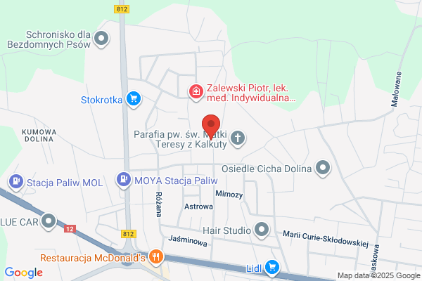 Zespól uslug projektowych