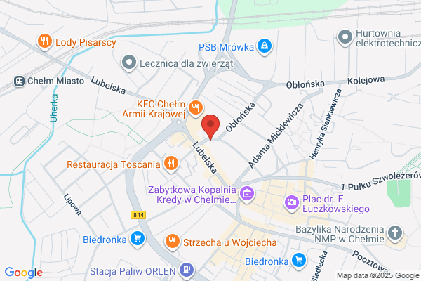 Dentmax. Blaszczuk-Kudelska S., Kwiatosz B.