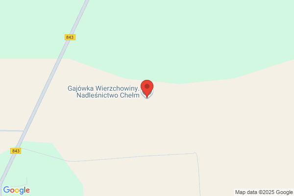 Lesnictwo Wierzchowiny. Nadlesnictwo Chelm