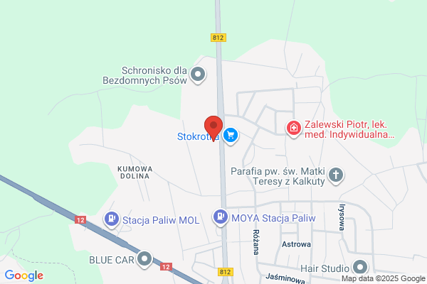Szady. Sprzedaz czesci zamiennych do samochodów ciezarowych