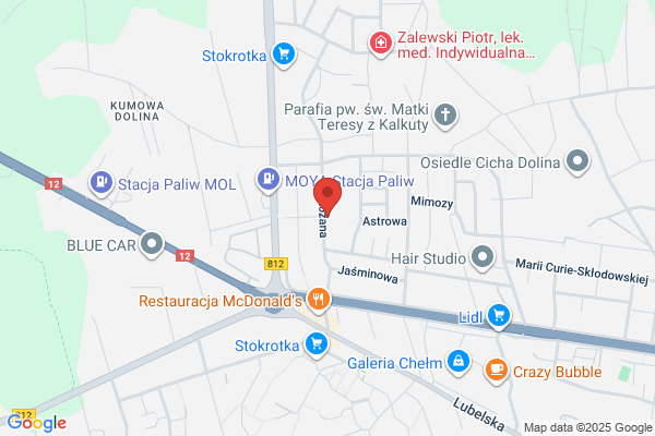 Auto Diesel. Naprawa samochodów. Jablonski Z.