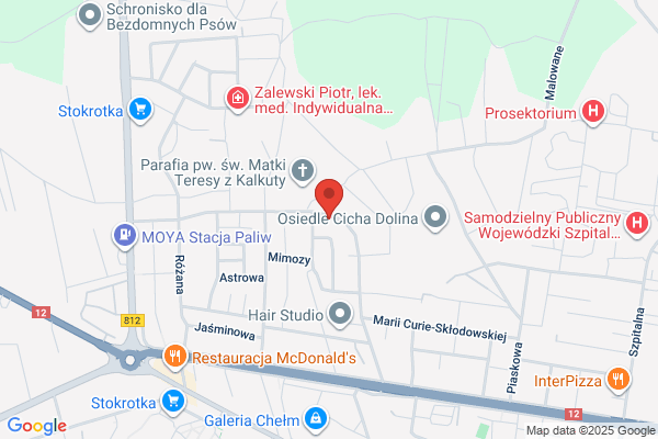 Jasik Zbigniew. Uslugi transportowe, wykopy ziemne