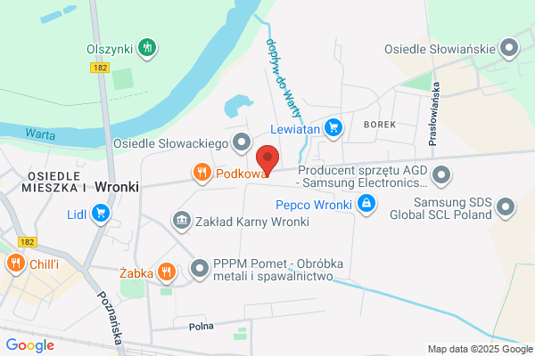Serwis fabryczny Amika Wronki SA
