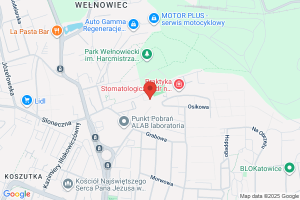 Elektroprojekt SA. Oddzial Katowice