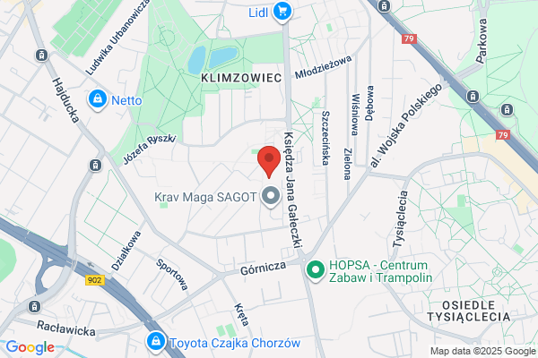 Profis. Centrum Jezyków Obcych. Majewska-Czerny J., mgr