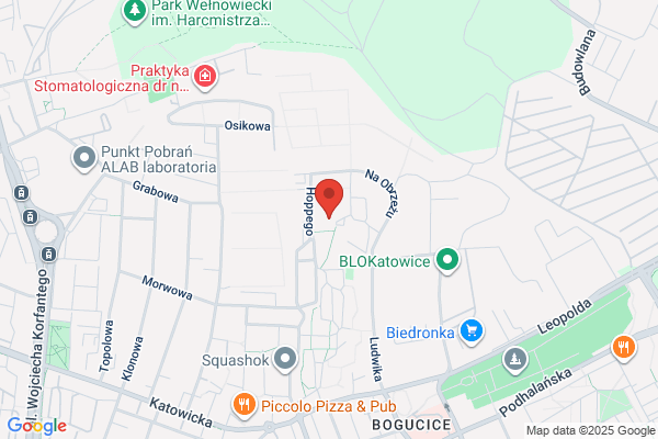 Progress. Systemy komputerowe. Oddzial
