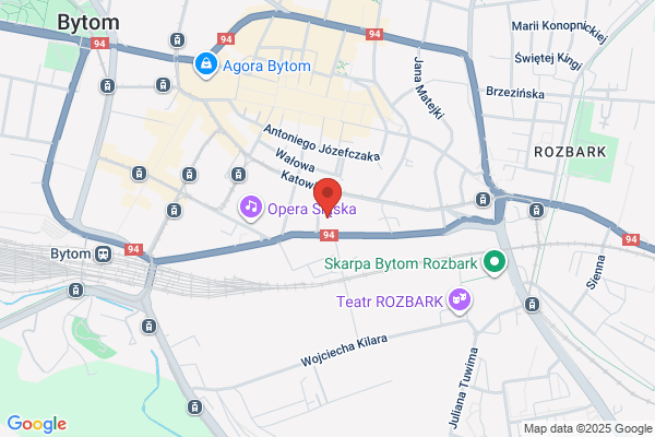 Poreba Ryszard, prof. dr hab. nauk med. Spec. ginekolog poloznik