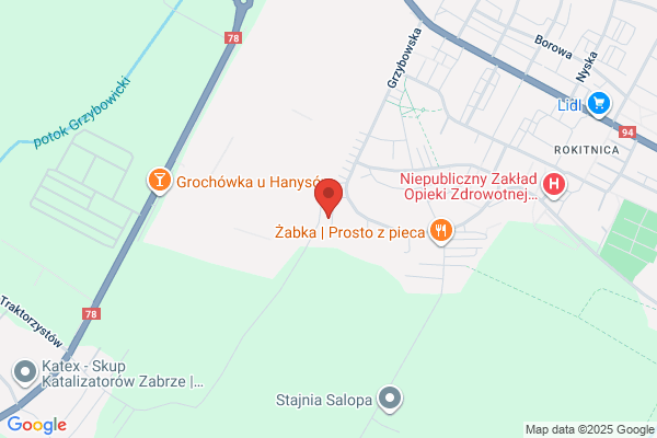 Zielinska Teresa, lek. med. Spec. neurolog