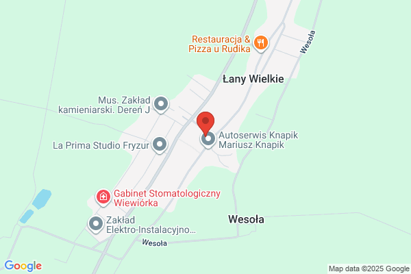 Lady. Osrodek szkolenia kierowców