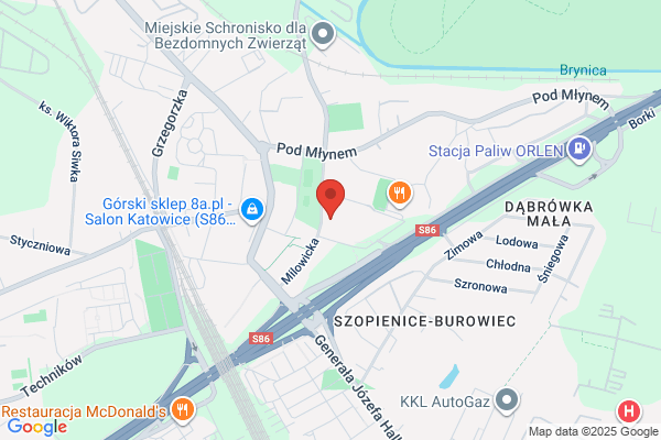 Kobi. Parkiety
