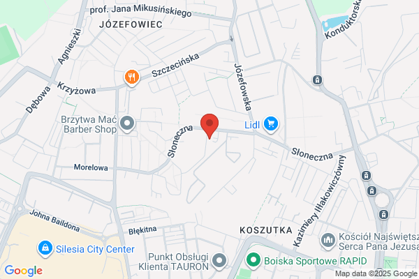Car Investigation Office. Badania identyfikacji pojazdów