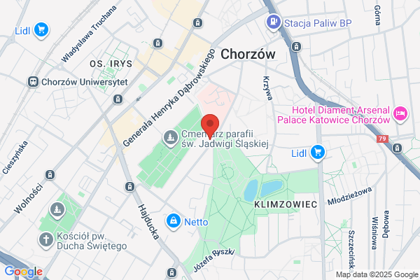 Policealne Studium Zawodowe Zespolu Szkól Ekonomicznych im. O. Langego
