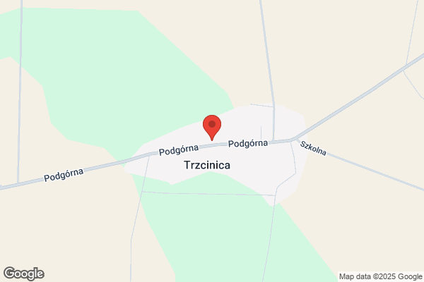 Ciborowski Tadeusz. Uslugi transportowe