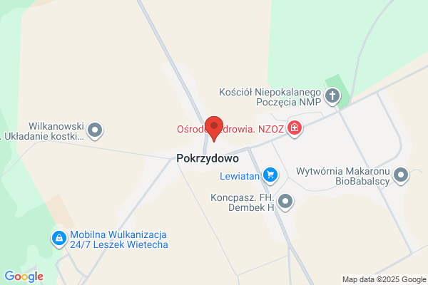 Kopczynski Piotr. Uslugi transportowe