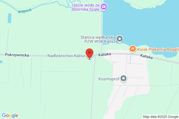 Lesnictwo Morawin. Nadlesnictwo Kalisz