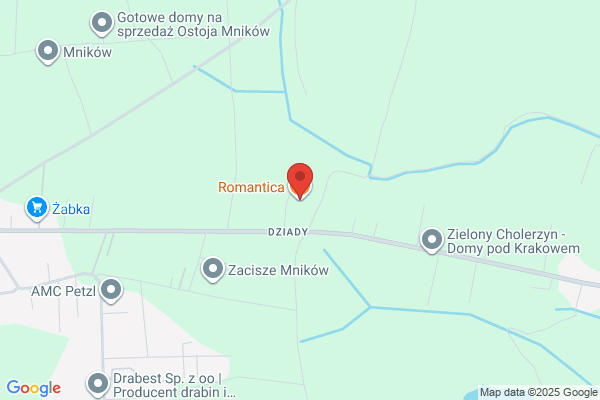 Romantica. Restauracja. Organizacja imprez okolicznosciowych