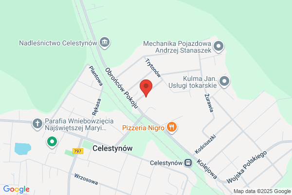 Paulgarden. Projektowanie ogrodów, systemy nawadniajace, wycinka drzew