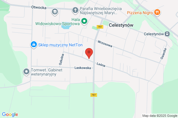 Galas T. Naprawa samochodów uzytkowych