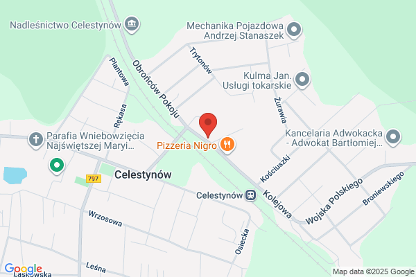 Masna Beata. Uslugi geodezyjne i kartograficzne
