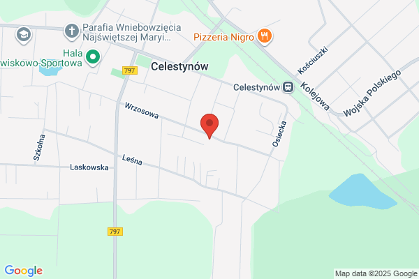 Sedzinska Ewa. Opakowania foliowe