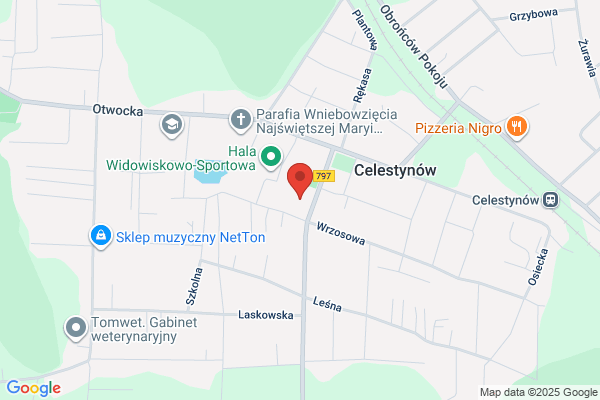 Szkola Podstawowa