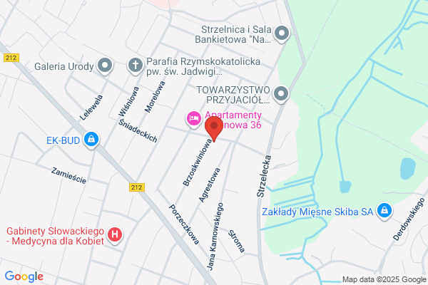 Dzida-Trans. Trzebiatowski D.