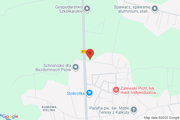 Szkolka drzew i krzewów ozdobnych
