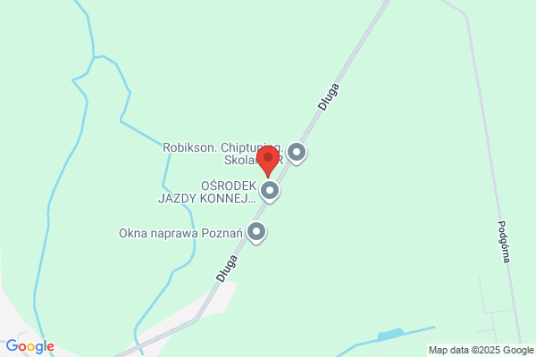 Jemielity Mieczyslaw. Iglaki ozdobne, choinki