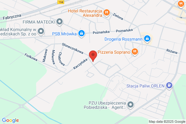 Mador. Wynajem autokarów, kraj i zagranica