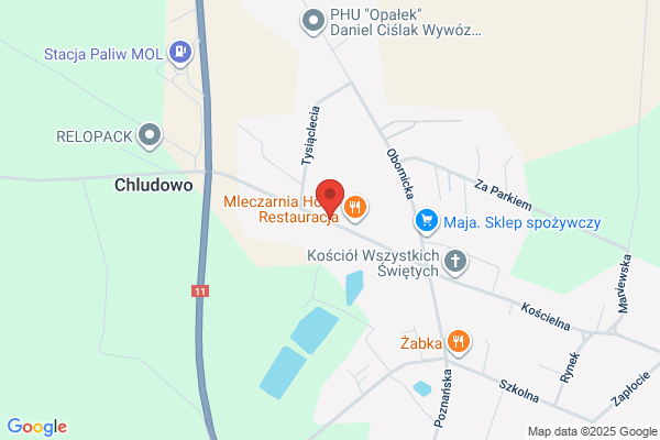 Marexpo. Sprzatanie obiektów i terenów przyleglych