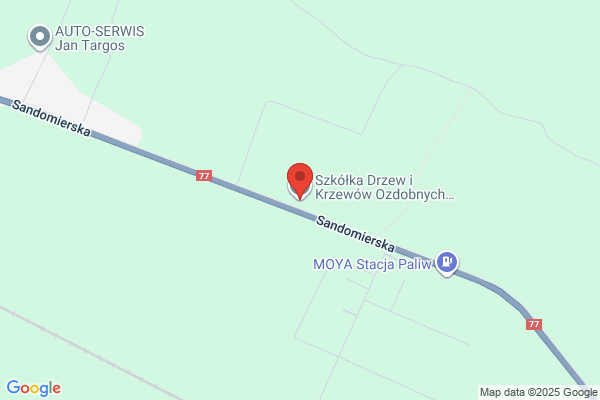 Dyptam. Szkólka drzew i krzewów ozdobnych. Szela A.S.