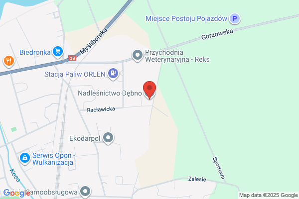 Lesnictwo Barnówko. Nadlesnictwo Debno