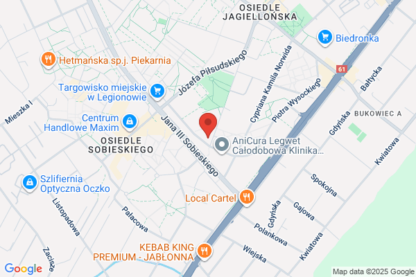 Finance & Business Management Services Poland. Wendolowska M.