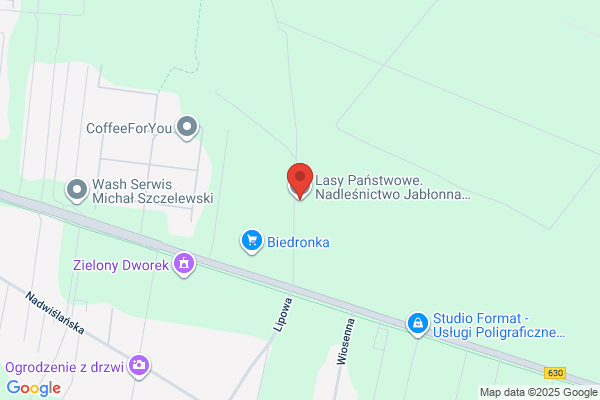 Szkólka. Lesnictwo Skierdy